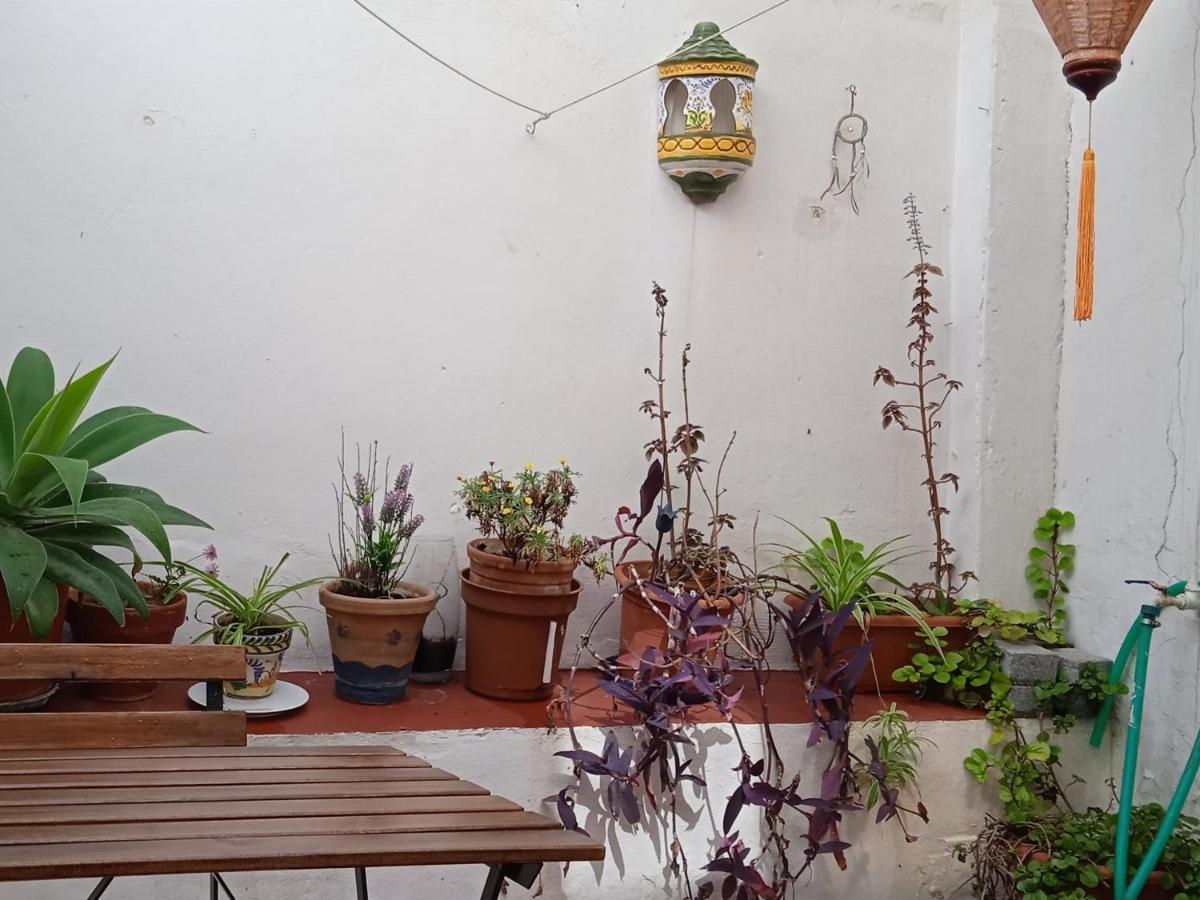 Selva La Bella. En El Corazon De Triana Lägenhet Sevilla Exteriör bild